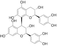 Procyanidin B3