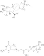 Penciclovir Triphosphate