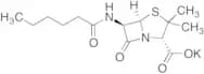 Penicillin DF Potassium Salt