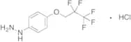 [4-(2,2,3,3,3-pentafluoropropoxy)phenyl]hydrazine Hydrochloride