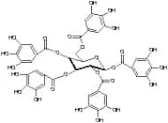 1,2,3,4,6-Penta-O-galloyl-b-D-glucopyranose (>85%)