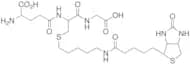 S-(1-Pentyl-5-biotinylamido)glutathione