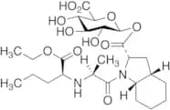 Perindopril Acyl-β-D-glucuronide