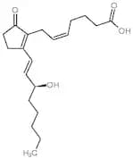 PGB2 (Prostaglandin B2)