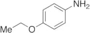 p-Phenetidine