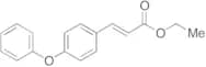 (2E)-3-(4-Phenoxyphenyl)-2-propenoic Acid Ethyl Ester