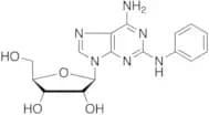 2-Phenylamino Adenosine