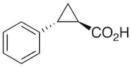 rac trans-2-Phenylcyclopropanecarboxylic Acid