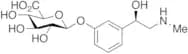 (R)-Phenylephrine β-D-Glucuronide