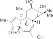 Phorbol