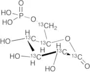 6-Phosphoglucono-δ-lactone-13C6