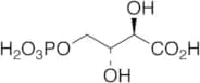 4-Phospho D-Erythronate