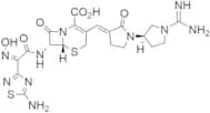N-Pyrrolidino Amidinyl Ceftobiprole