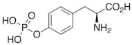 O-Phospho-L-tyrosine