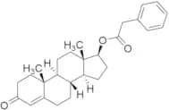 Testosterone 17-Phenylacetate
