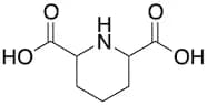 Piperidine-2,6-dicarboxylic Acid