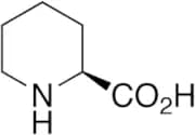 L-Pipecolic Acid