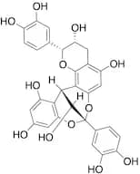 Procyanidin A2