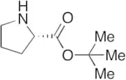 L-Proline tert-Butyl Ester
