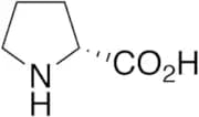 D-Proline
