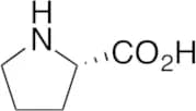 L-Proline