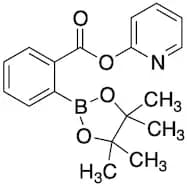 N-2-Pyridinyl-2-(4,4,5,5-tetramethyl-1,3,2-dioxaborolan-2-yl)benzamide