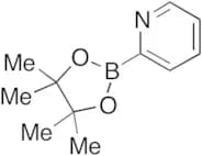 Pyridine-2-boronic Acid Pinacol Ester