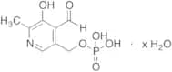 Pyridoxal 5-Phosphate Hydrate