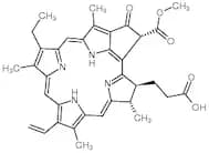 Pheophorbide A (>80%) (mixture of diastereomers)
