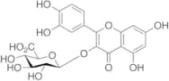 Quercetin 3-O-β-D-Glucuronide