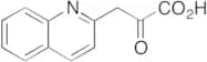 2-Quinolinepyruvic Acid
