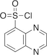 5-Quinoxalinesulfonyl Chloride