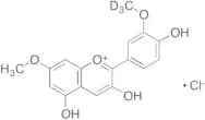 Rosinidine-d3