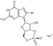 Rp-8-Br-cGMPS