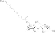 Sucrose Monolaurate