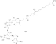 Sebacyl-CoA Sodium Salt