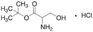 Serine, 1,1-dimethylethyl ester Hydrochloride Salt