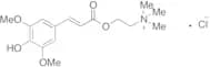 Sinapine Chloride