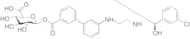 Solabegron Acyl Glucuronide