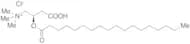 R-Stearoyl Carnitine Chloride