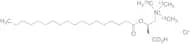 Stearoyl-L-carnitine-13C3 Chloride