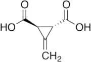 3-Methylenecyclopropane-trans-1,2-dicarboxylic Acid