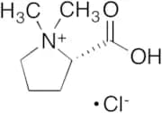 Stachydrine Chloride