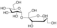 Sucrose