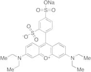 Sulforhodamine B Sodium Salt
