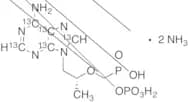 Tenofovir Phosphate Diammonia Salt-13C5