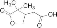 rac-Terpenylic Acid