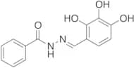 (2E)-2-[(2,3,4-Trihydroxyphenyl)methylene]hydrazide Benzoic Acid