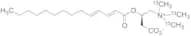 Tetradeca-2,4-dien-oyl Carnitine (N,N,N-tri-13C3-methyl)