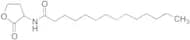 N-Tetradecanoyl-DL-Homoserine Lactone